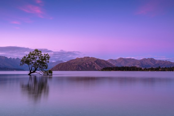 Photo du paysage n°4